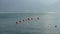 7 floating buoys in Leman lake with swan, ducks and seagulls