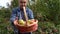 70-year-old elderly takes the basket with apples in the garden, summer.