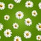 708_White daisies seamless vector pattern on green background