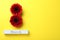 8 March greeting card design with red gerberas and space for text on yellow background, flat lay. International Women`s day