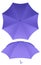 8 rib purple umbrella isolated