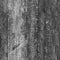 8K moss wood roughness texture, height map or specular for Imperfection map for 3d materials, Black and white texture