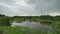 8K Pond Water in Little Lake of Swamp in Sparse Clearing in Forest