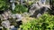 8K Relaxing Fountain In Japanese Garden