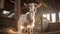 8k Resolution Goat Portrait In Sparklecore Style
