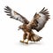 8k Resolution Hawk Flight: Stunning National Geographic Style Uhd Image