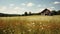 8k Resolution Meadow Barn In Southern Countryside With Vintage Imagery