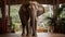 8k Resolution Object Portraiture: Harpia Harpyja Elephant In Brazilian Zoo