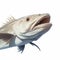 8k Ultra-clear Catfish Close-up Flat Drawing Front View White Background