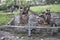 The 8th Station of the Cross with Jesus from Sainte Anne de Baupre Sanctuary from Quebec