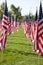 9/11 Healing Field Flags