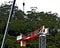 9:57 am December 7, 2021: Gosford, NSW, Australia. Tower Crane disassembly