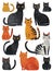 9 cats, funky cats, illustration, white background, nine cat, happy and sympathetic charisma