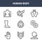 9 human body icons pack. trendy human body icons on white background. thin outline line icons such as larynx, mitosis, pancreas .