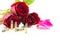 9 mm bullet and beautiful red rose on white background