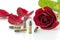 9 mm bullet and beautiful red rose on white background