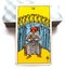 9 Nine of Cups Tarot Card Happiness Success Wishes Coming True