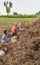 9 women pluck freshly harvested peanuts, Abbigeri, Karnataka, India