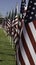 911 Memorial Healing Field American Flags