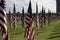 911 Memorial Healing Field American Flags