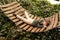 Aaah...the carefree days of childhood....A little boy relaxing in a hammock in his backyard.