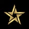 Aabstract elegant and modern style gold star logo icon in black, eps 10 file