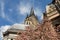 Aachen cathedral in spring time with a blooming magnolia tree