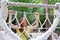 Aadventure woman on jungle rope bridge