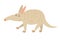 Aardvark. Flat cartoon vector illustration