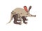 Aardvark Wild Exotic African Animal Vector Illustration