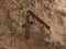 Aave Crypto Letter A Ground Hole Dry Fossil Dead Excavation 3D Illustration