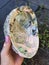 Abalone Shell Sea Ocean Miracles Nature Hand Ritual