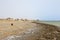 Abandon Beach, Marsa Alam, Egypt
