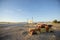 Abandon cars in the Namibian desert