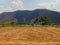 Abandon Cultivated Land Area Contrast with Abundance Area in Background