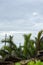 Abandon jetty or traditional fisherman dock over cloudy sky background