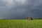 abandon wooden house surrounded by green paddy field over dramatic dark clouds