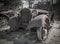 Abandond mine town car boneyard