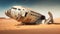 Abandoned aircraft in sand desert