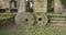 Abandoned ancient stone water mill building with growing vegetation detail on a sunny day