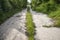 Abandoned asphalt cracked road with overgrown plants and grass in the middle of nowhere in some ghost city.  The concept of