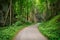 Abandoned asphalt road in a deep green forest