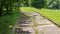 Abandoned asphalt road with ruined surface, grass, moss and cracks in Russian village