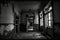Abandoned Asylum: A Glimpse into the Haunted Past