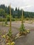 Abandoned basketball playground in mountains