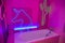 Abandoned bathroom on Neon lights concept at studio.