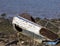 Abandoned and beached boat with a damaged hull