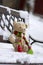 Abandoned beige plushy teddy bear with red green striped knitted scarf sitting on the bench covered with white snow