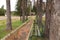 Abandoned benches