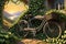 Abandoned Bicycle Reclaimed by Ivy Vines, Intertwining with the Metallic Frame, Wheels Half-Submerged in Nature\\\'s Embrace